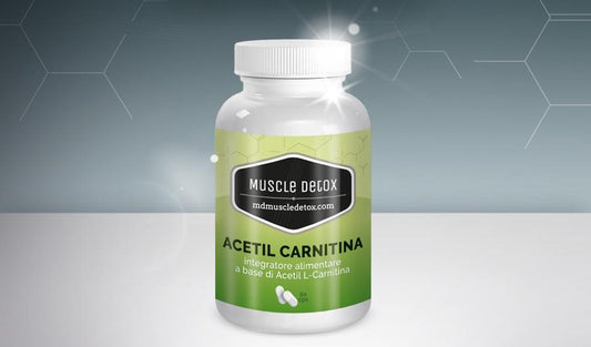 Acetil Carnitina: Brucia il Grasso e migliora Memoria, Apprendimento e i Livelli di umore